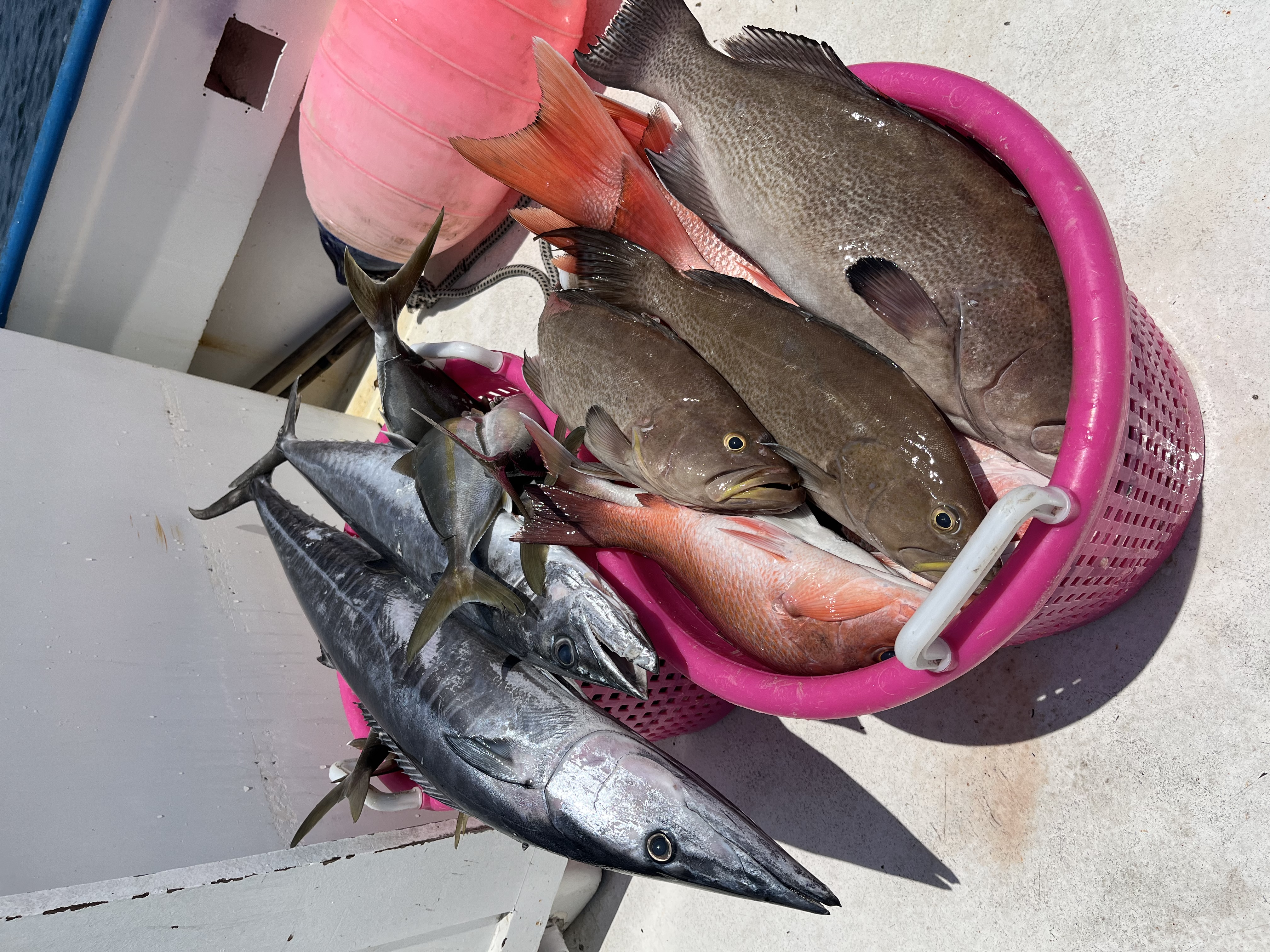 Fishing in Destin