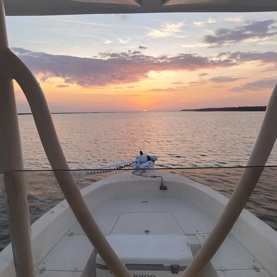 Inshore/Near Fishing Trip