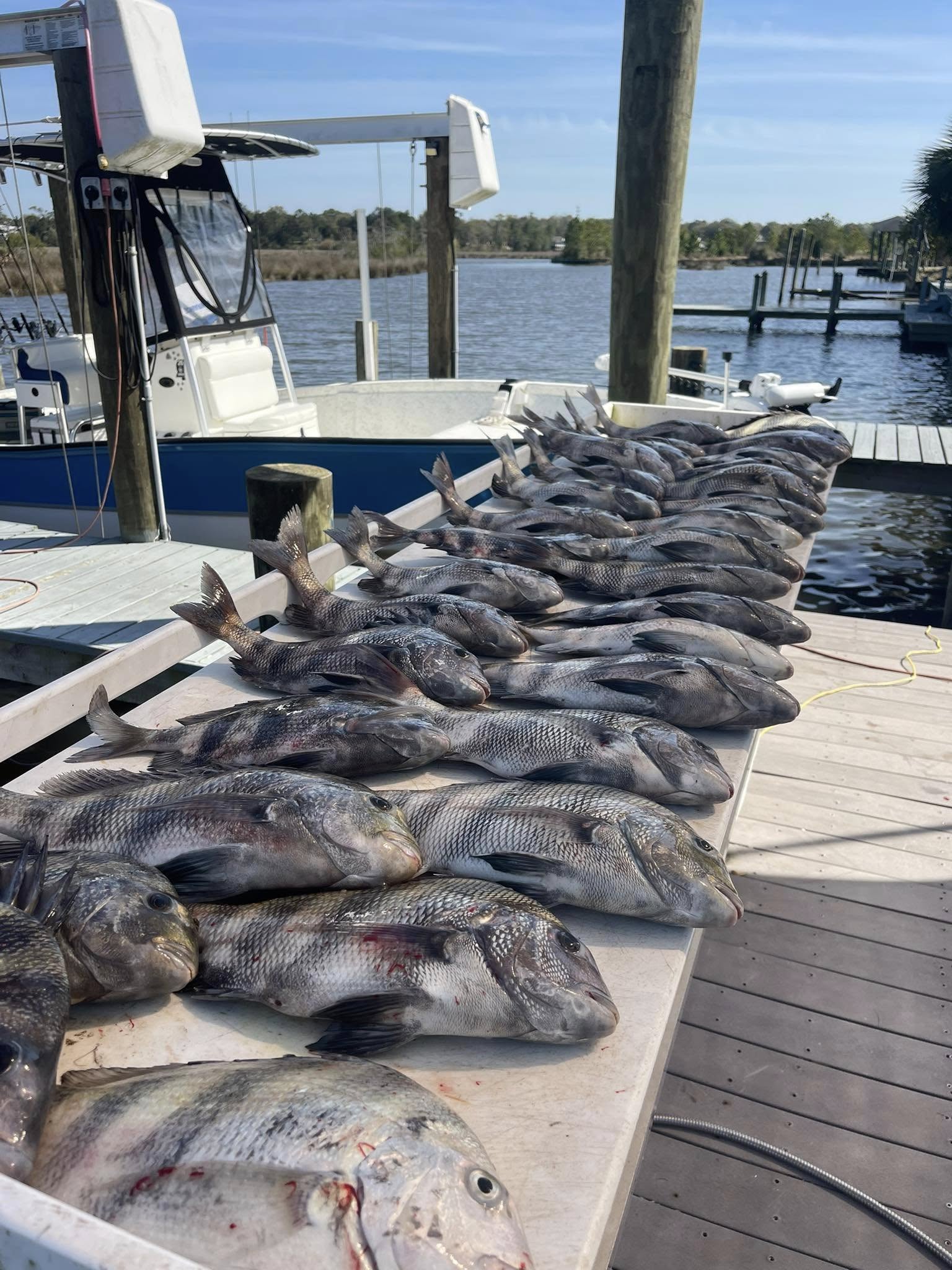 Fishing in Destin
