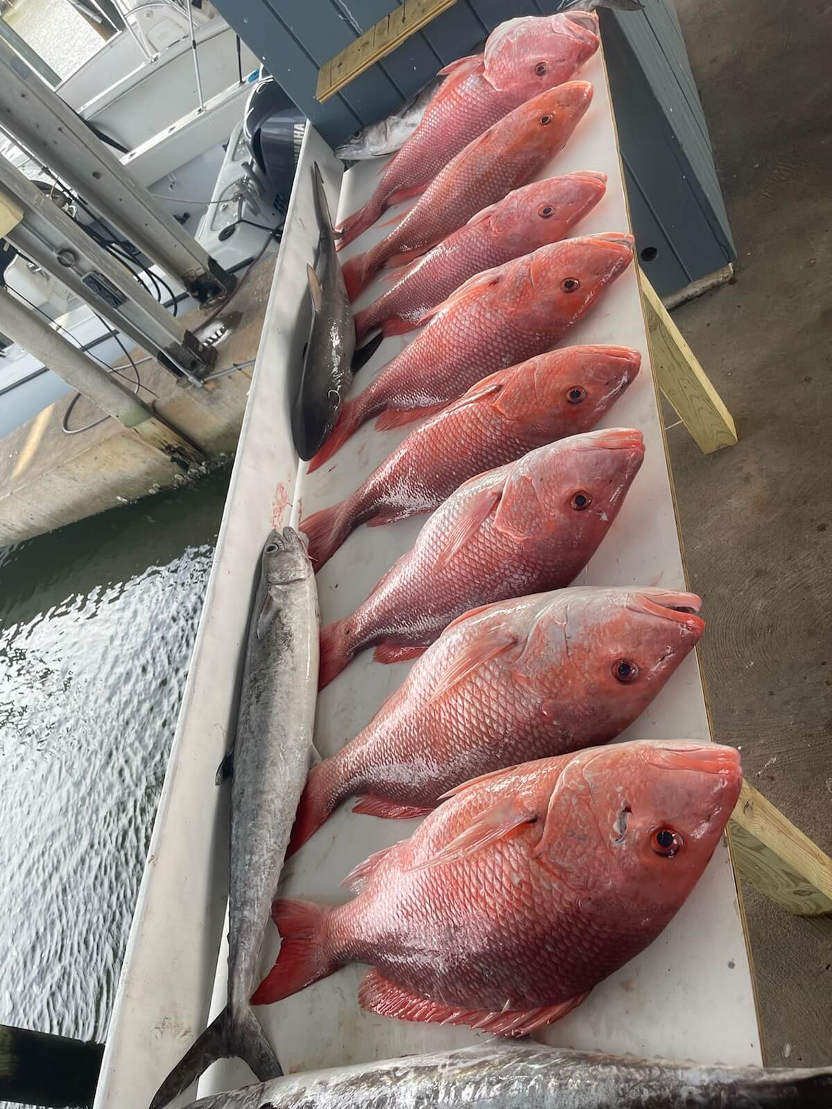 Fishing in Destin