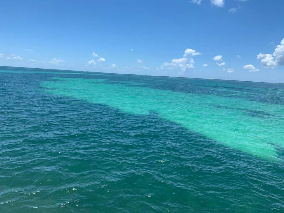 Scenic Boat Tours