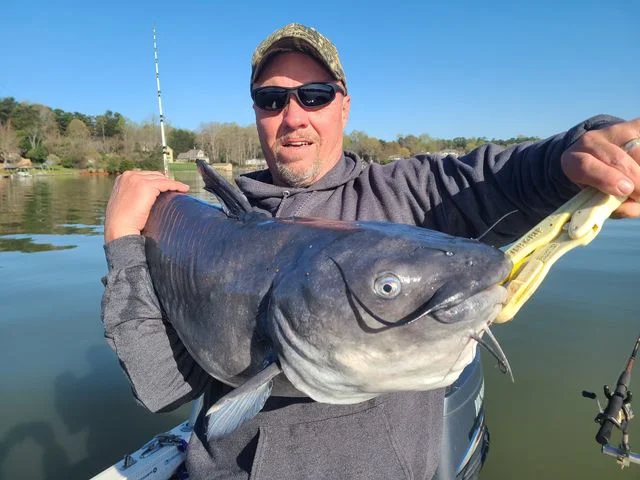 Hybrid Hunting