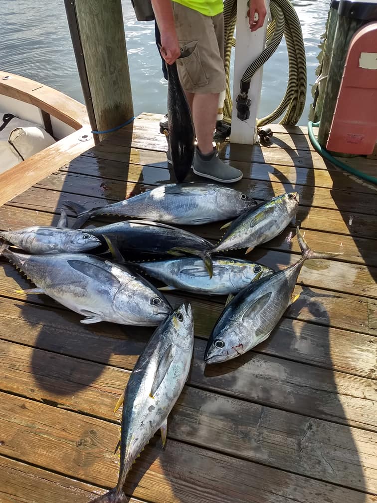 Fishing in Destin