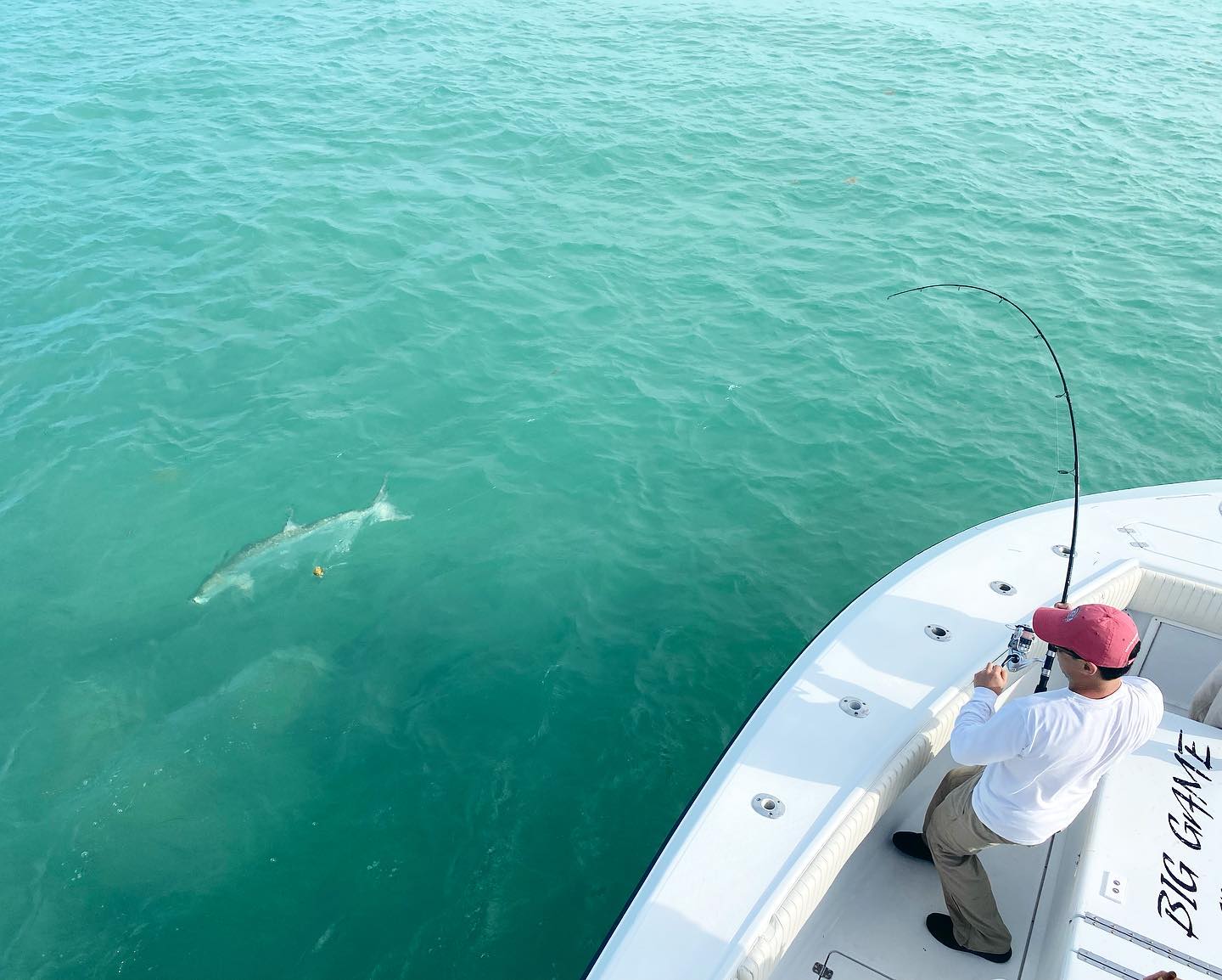 Miami Beach Tarpon Trip