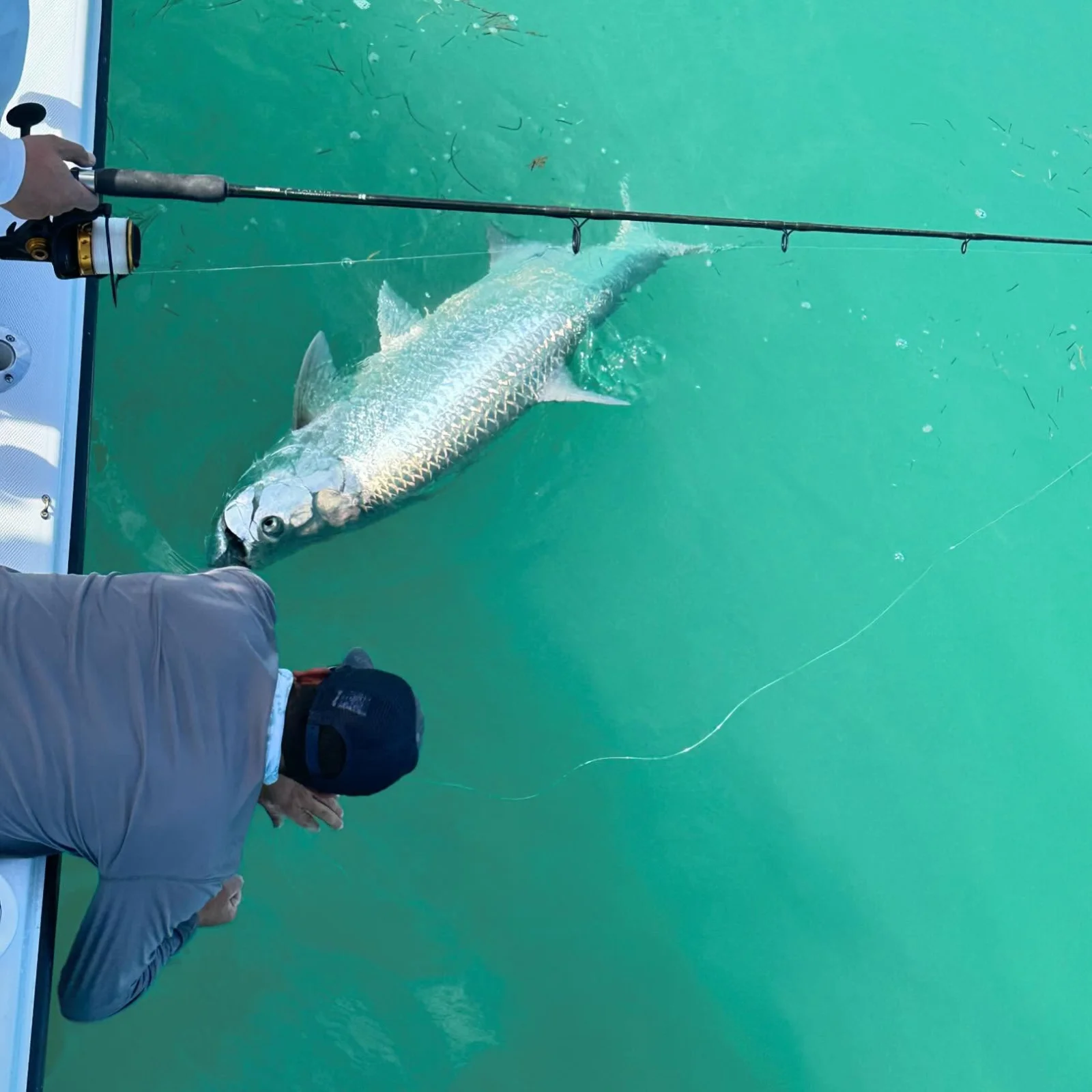 Miami Beach Tarpon Trip