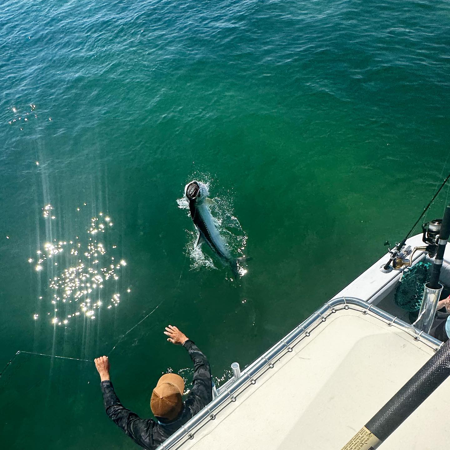 Miami Beach Tarpon Trip