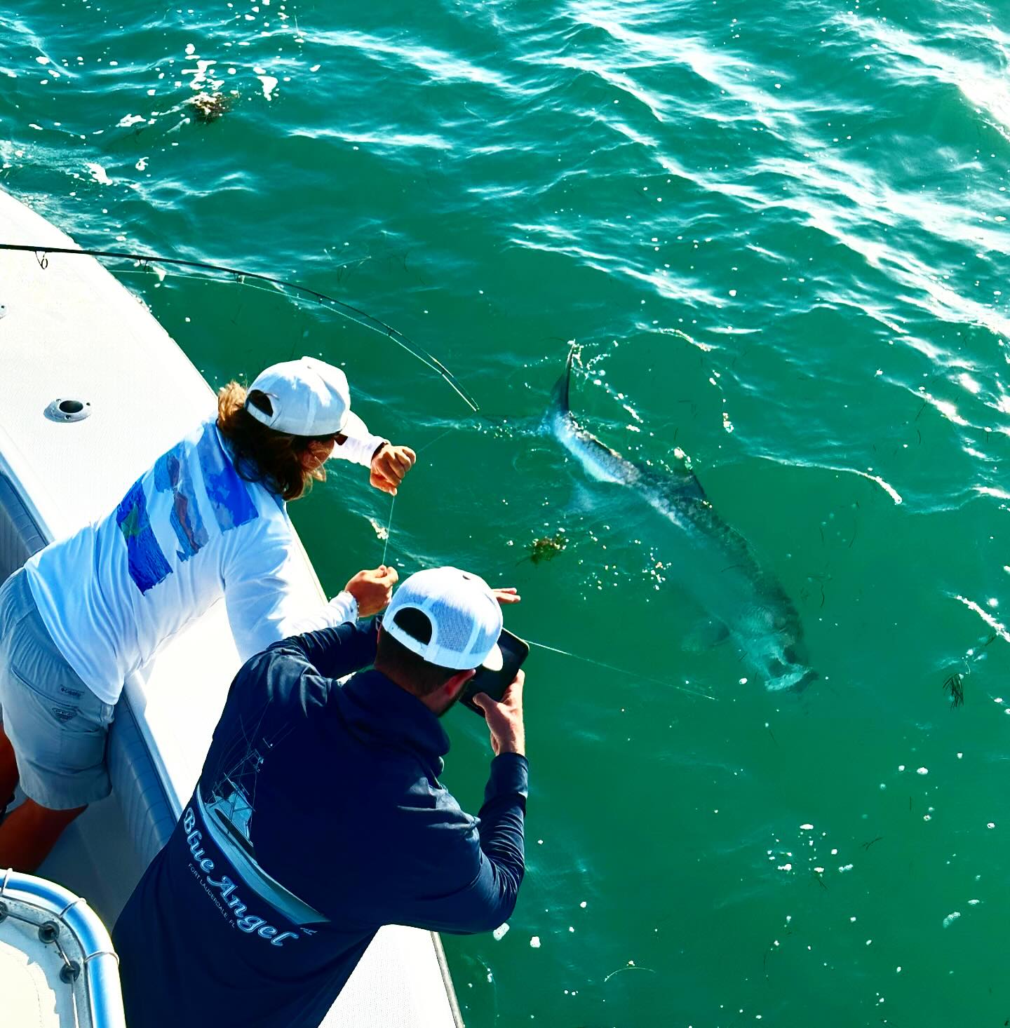 Miami Beach Tarpon Trip