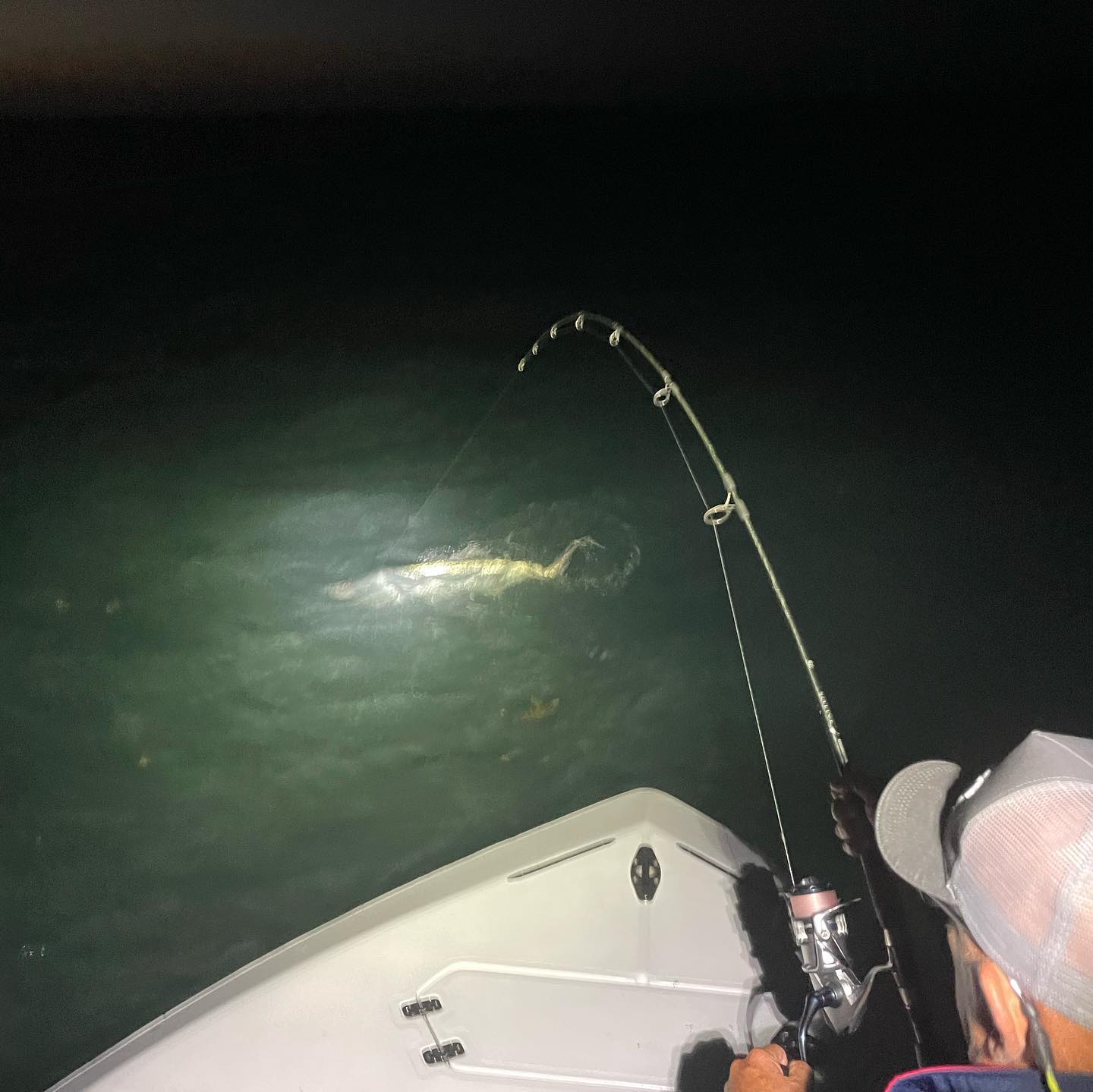 Miami Beach Tarpon Trip