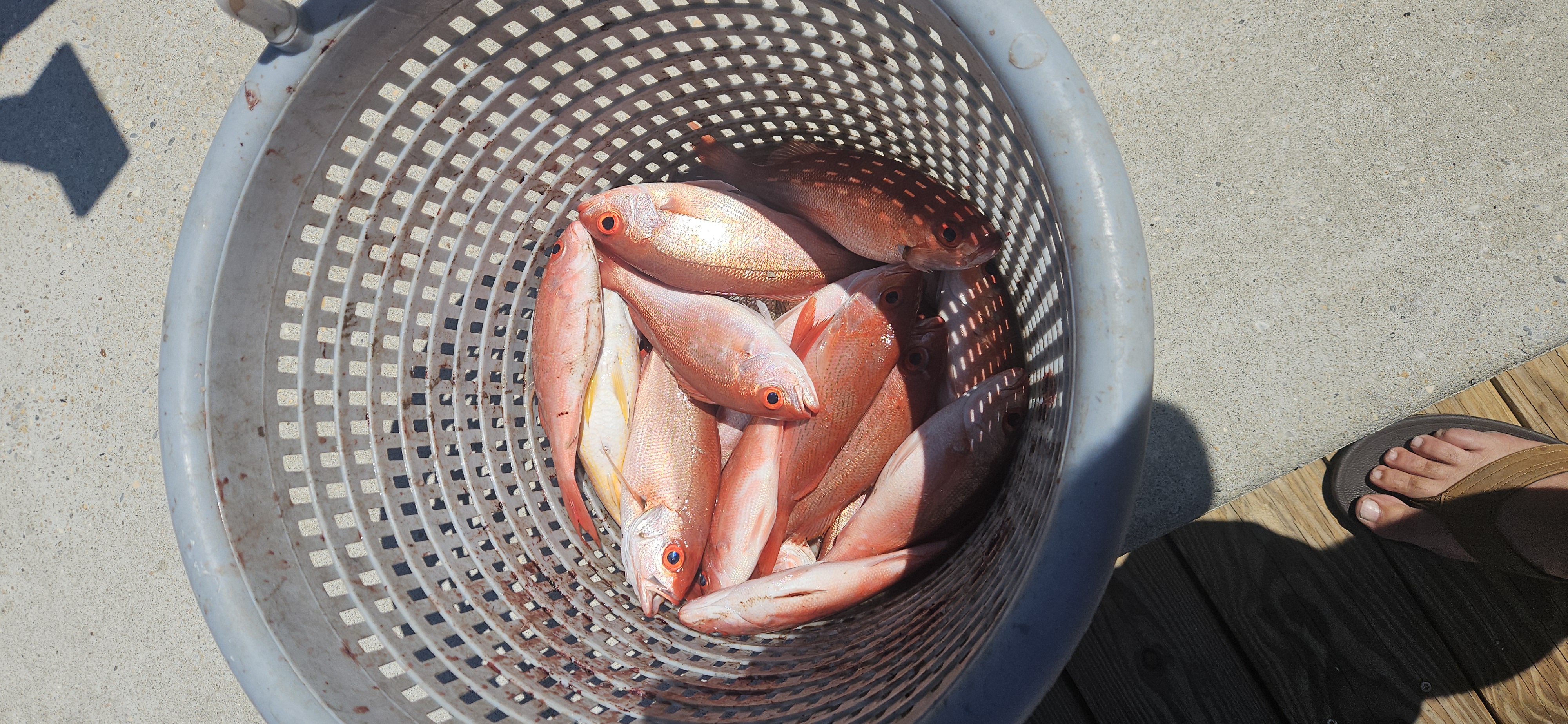 Fishing in Destin