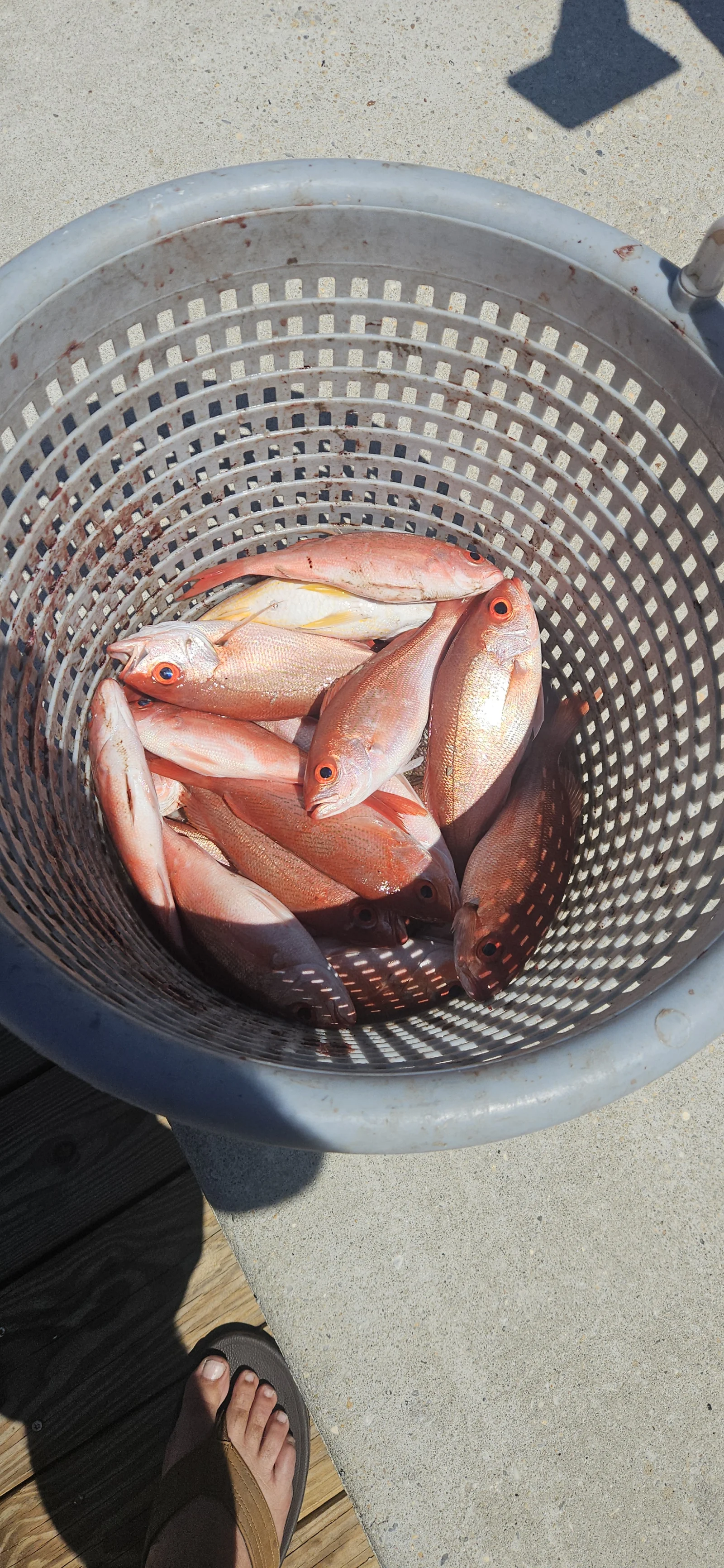 Fishing in Destin