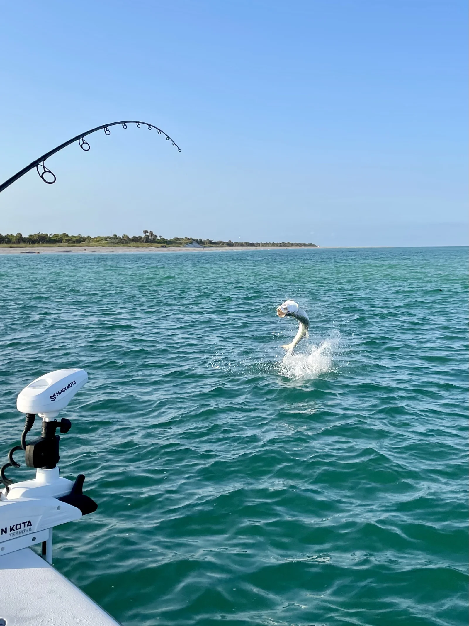 Bay Flats Session