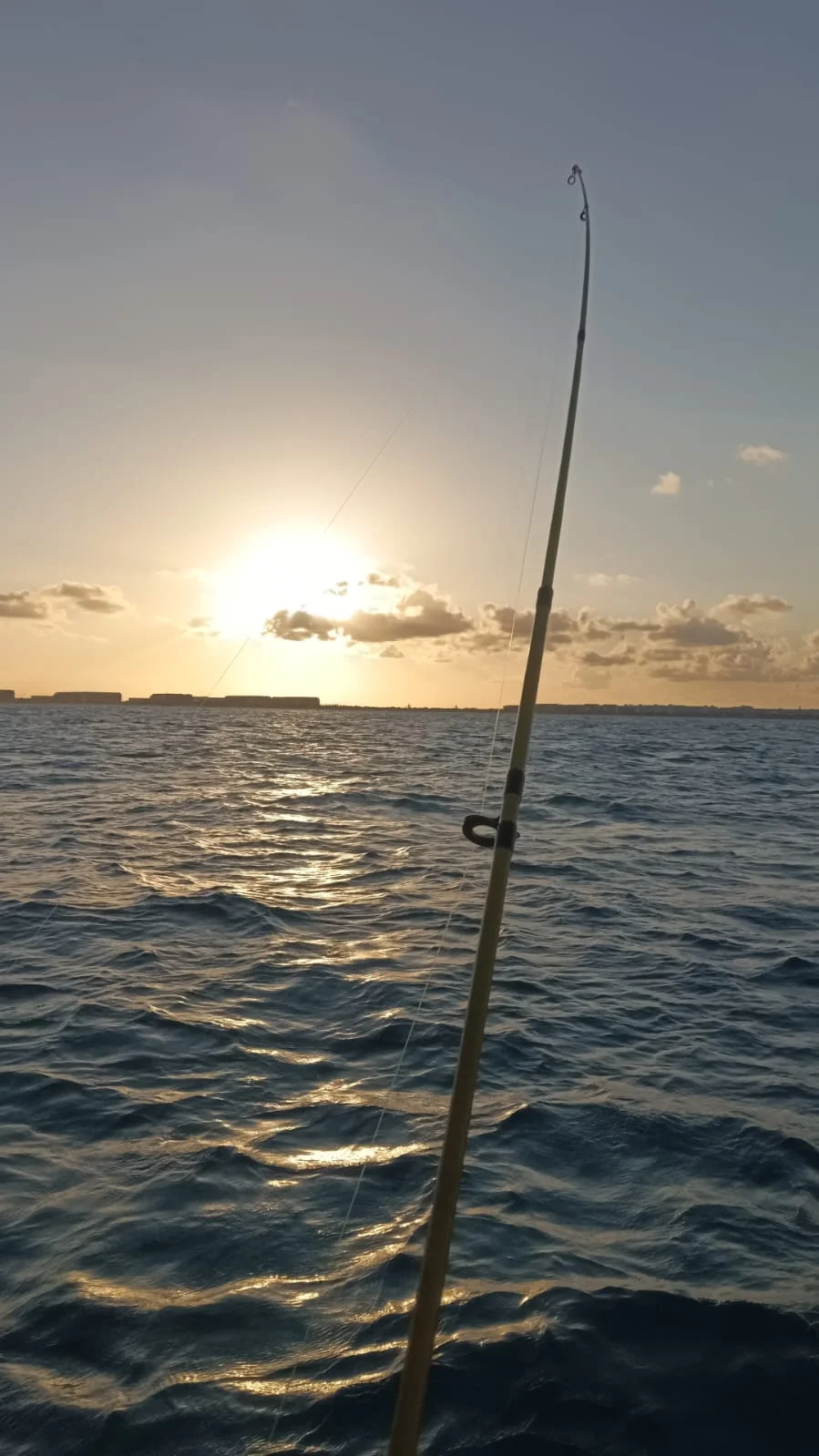 Early Offshore + Island Stop