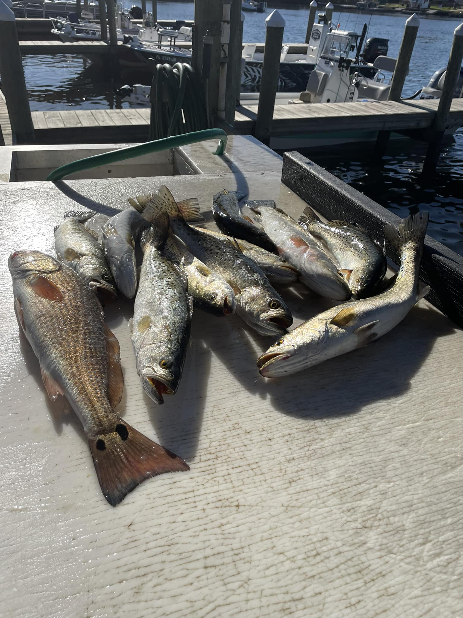 Fishing in Destin