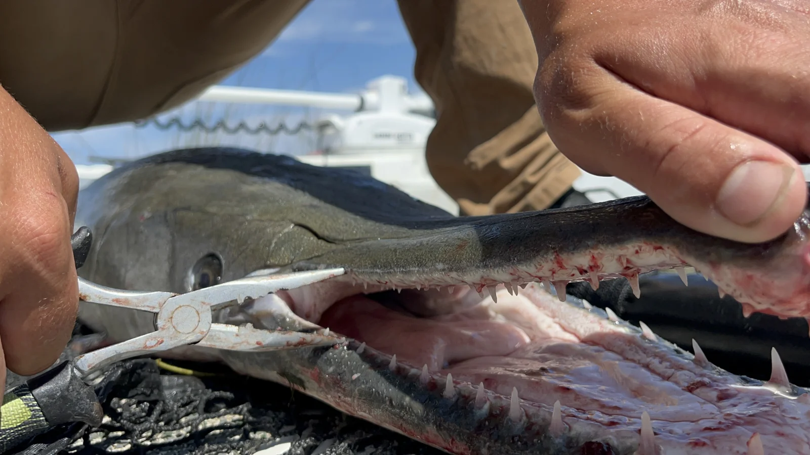 Fishing in Destin