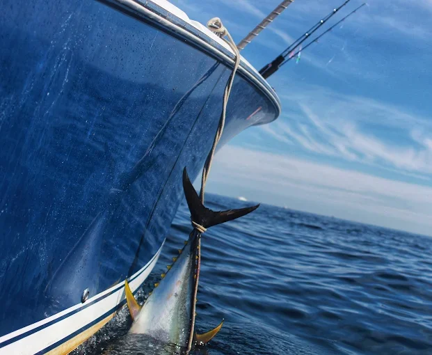 Fishing in Destin