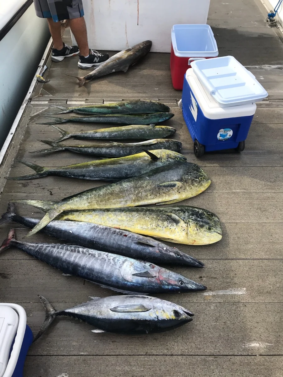Fishing in Destin