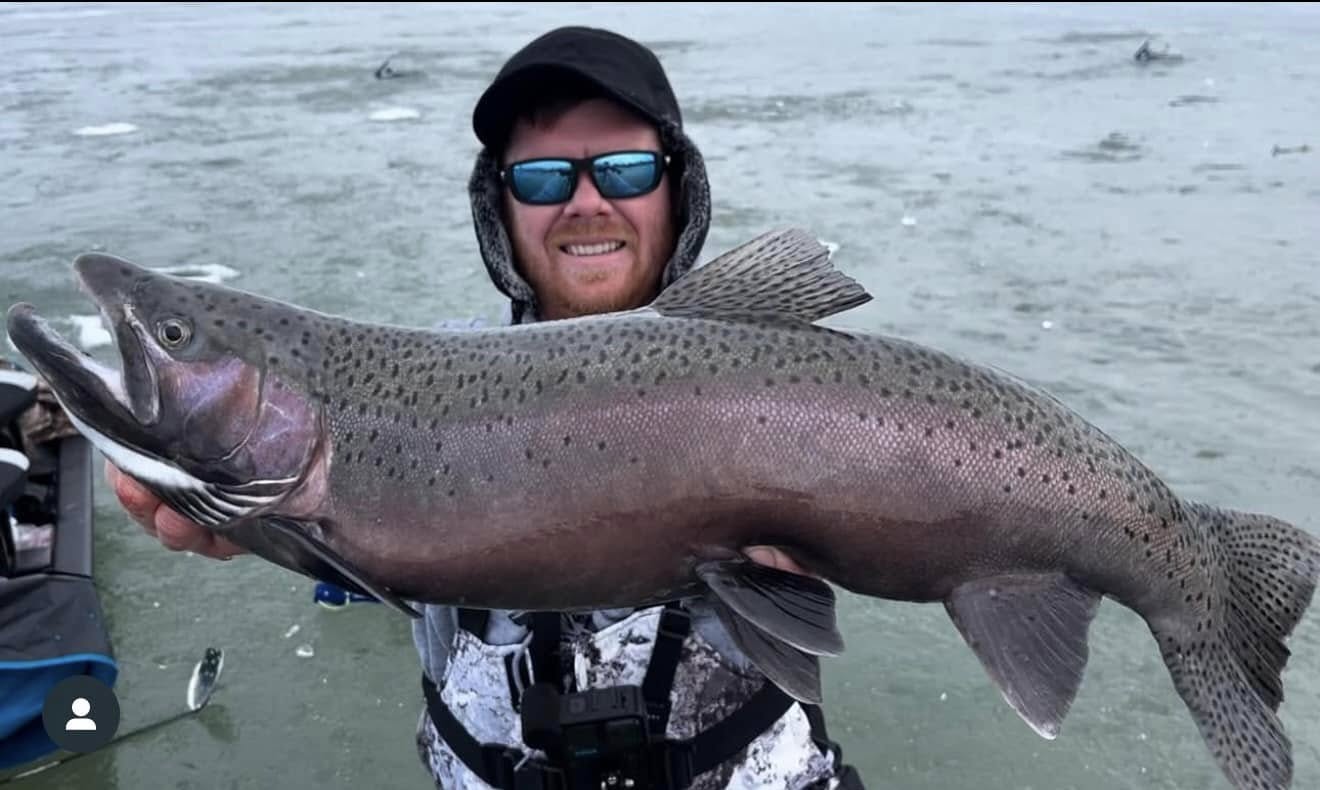 Walleye, salmon, steelhead combo