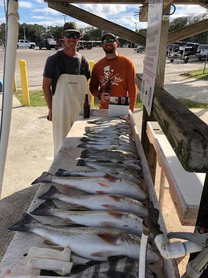 Coastal Catches