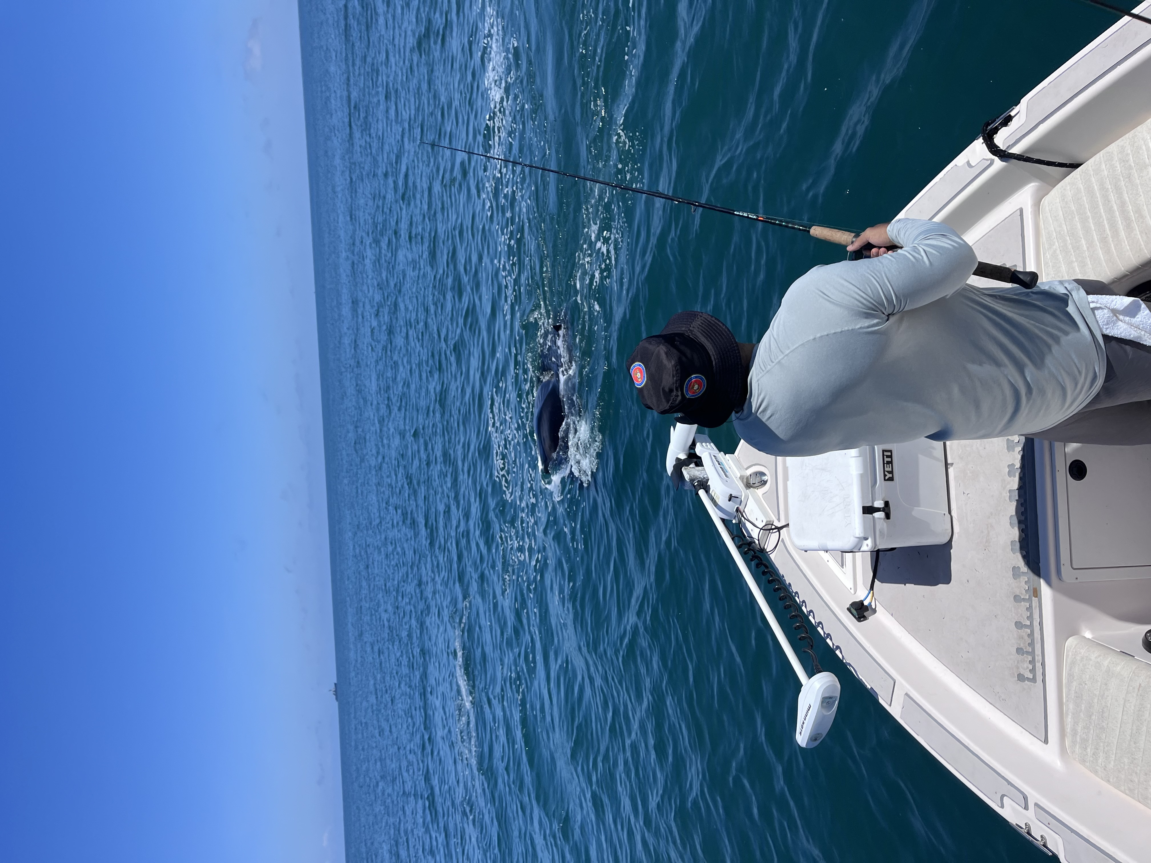 Coastal Catches