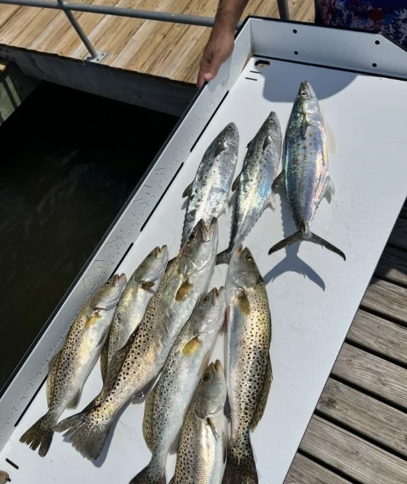 Fishing in Destin