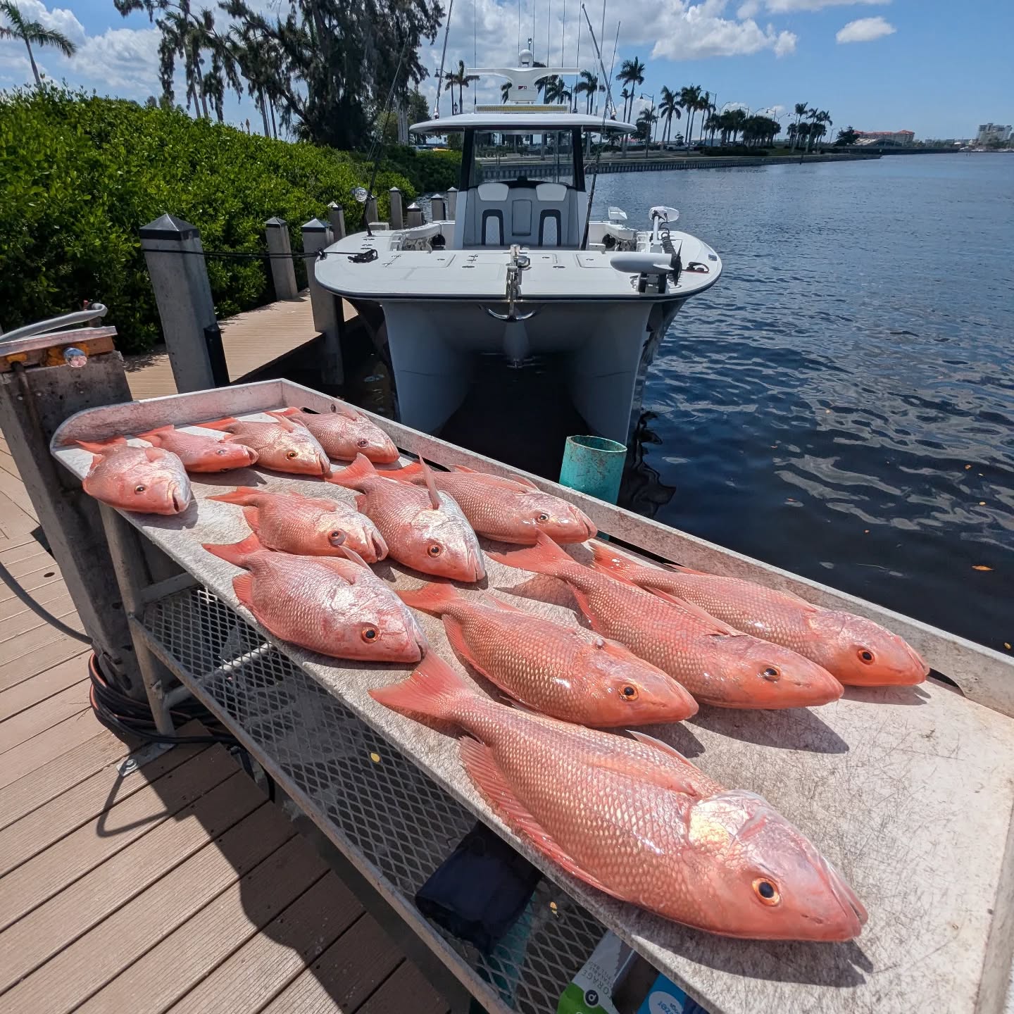8-12 Hour Offshore Trip