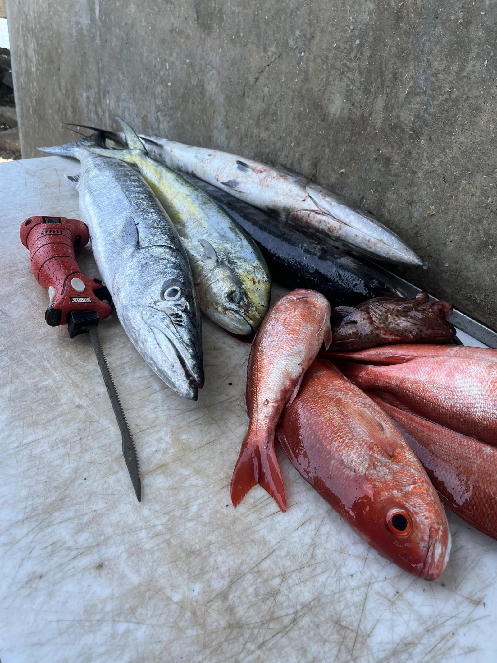 Fishing in Destin