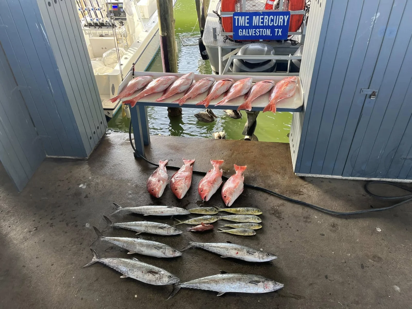 Fishing in Destin