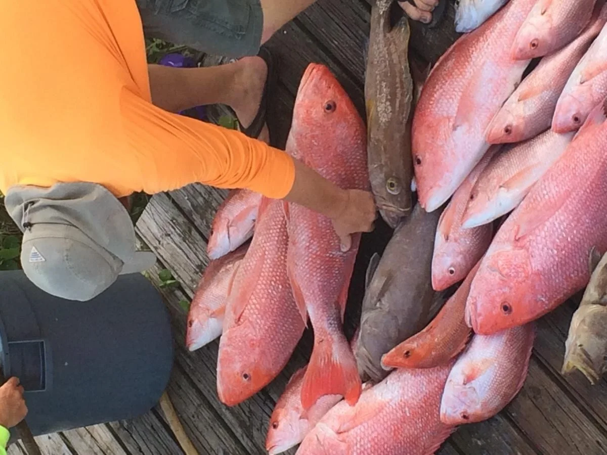 Fishing in Destin