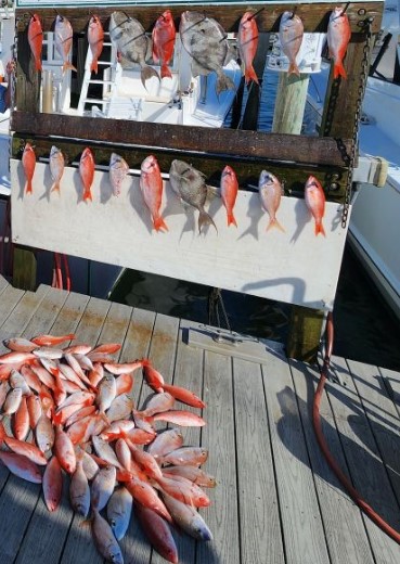 Fishing in Destin