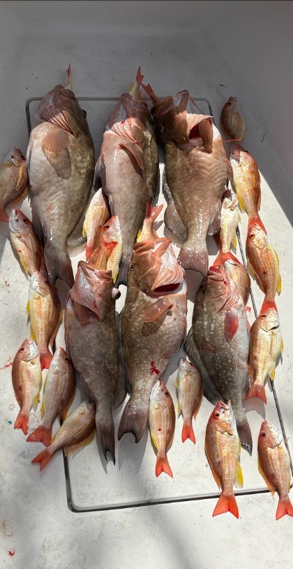 Fishing in Destin