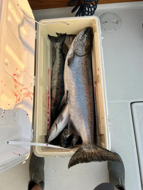 Fishing in Destin