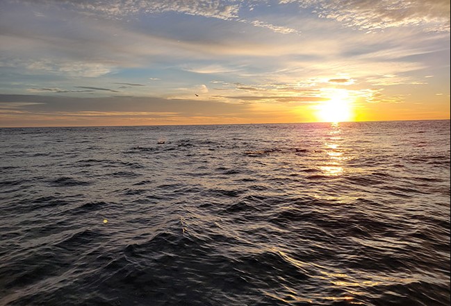 Fishing in Destin