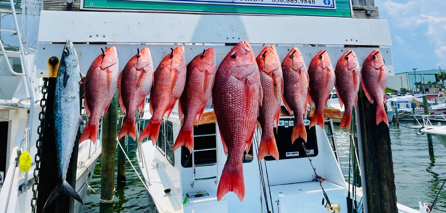 Fishing in Destin