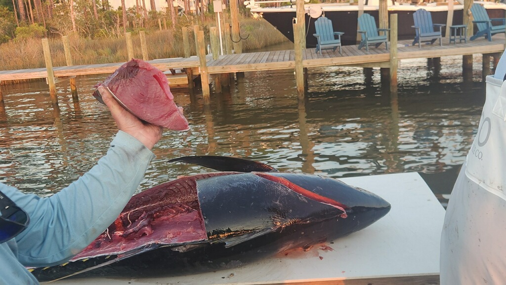 Fishing in Destin