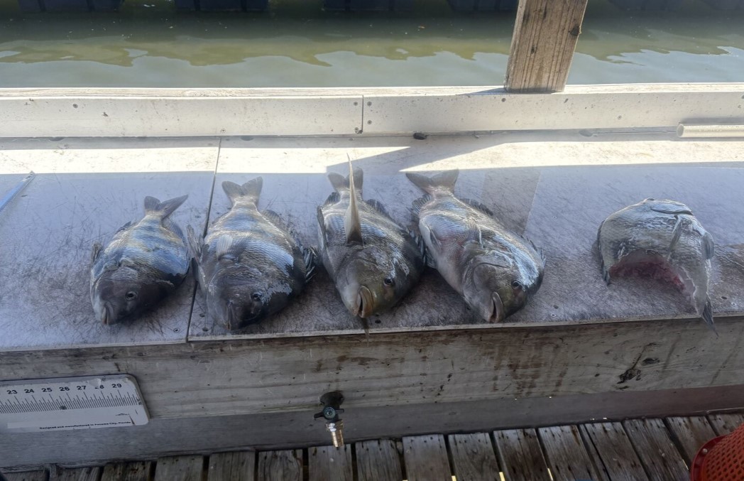 Fishing in Destin