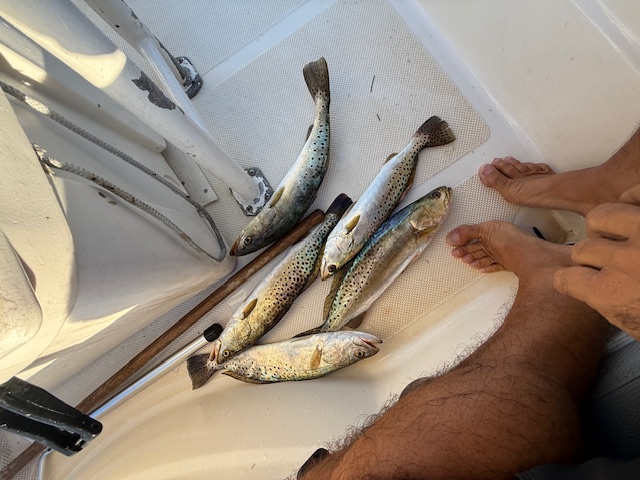 Fishing in Destin