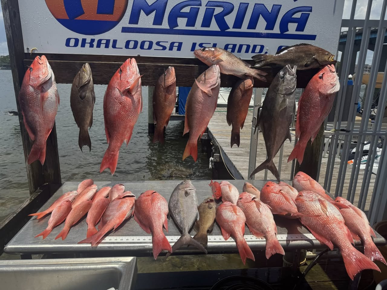 Fishing in Destin