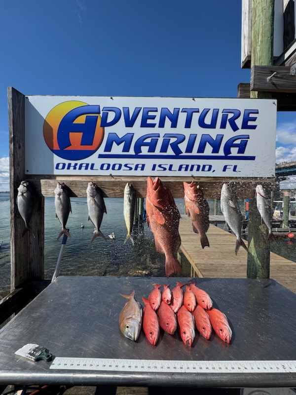 Fishing in Destin