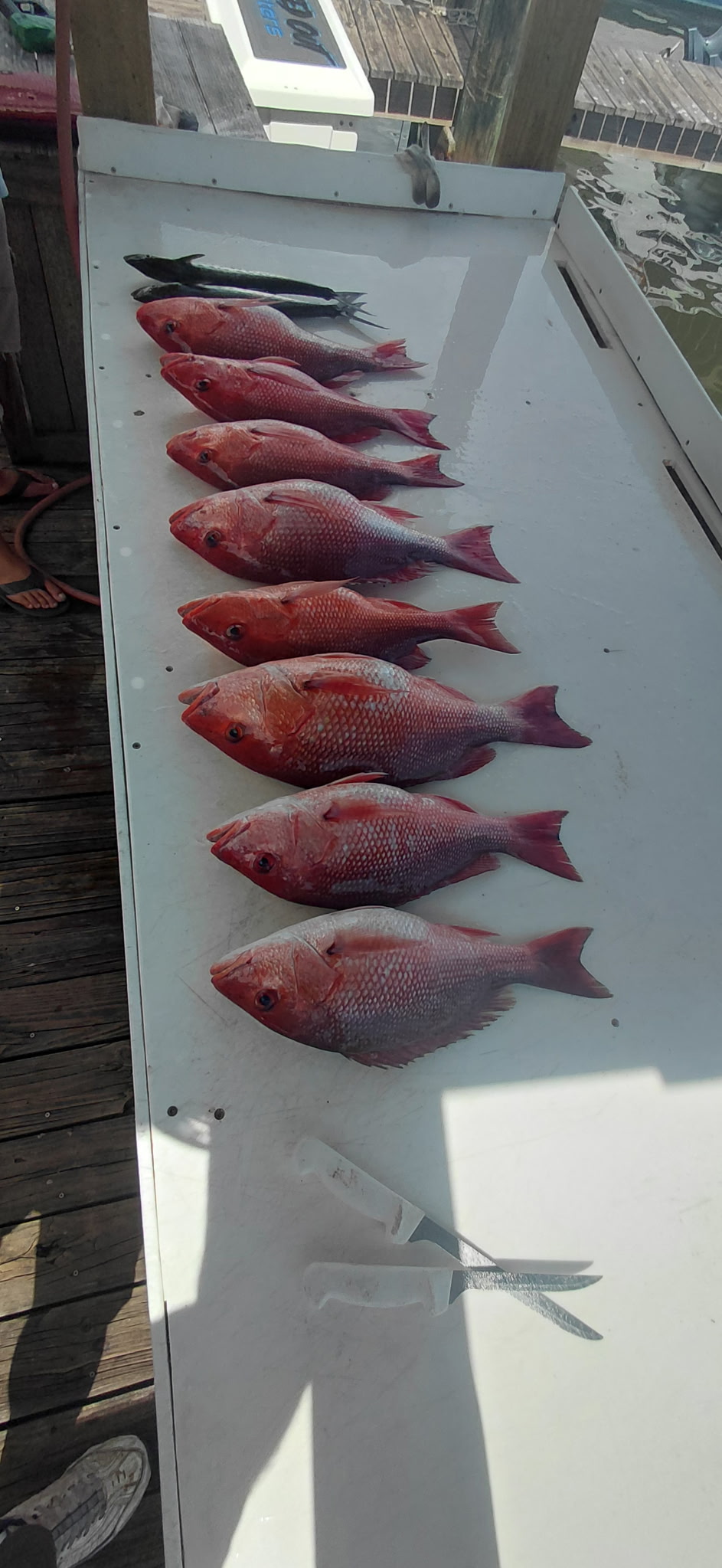 Fishing in Destin