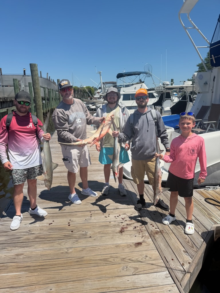 Fishing in Destin