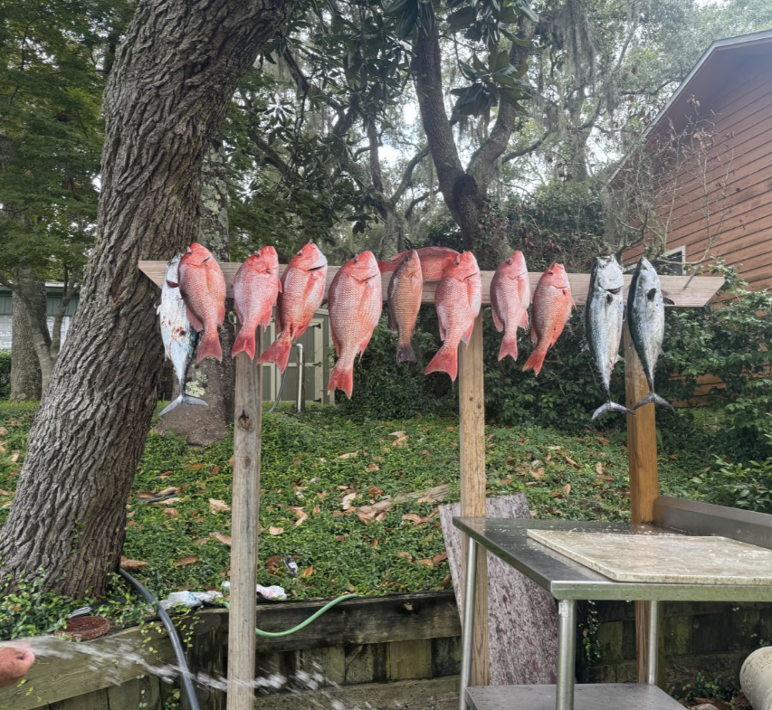 Fishing in Destin