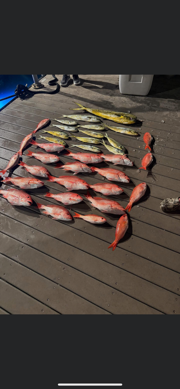 Fishing in Destin