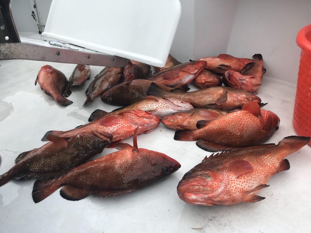 Fishing in Destin