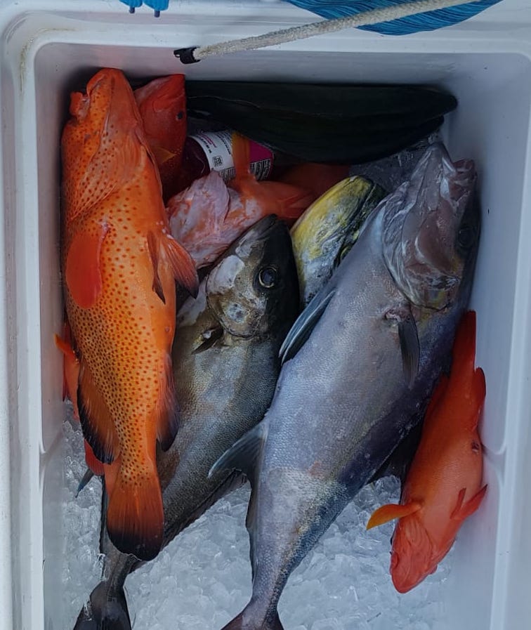 Fishing in Destin