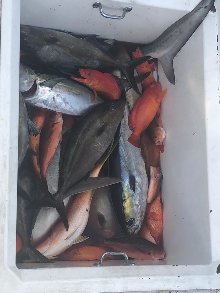 Fishing in Destin