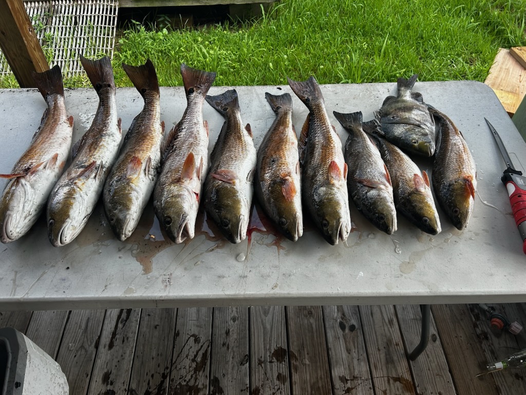 Fishing in Destin