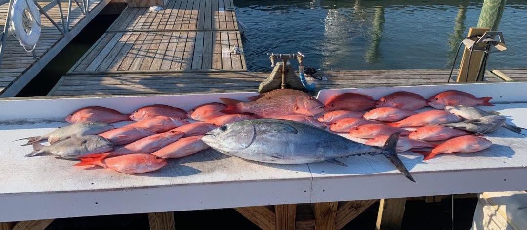 Fishing in Destin