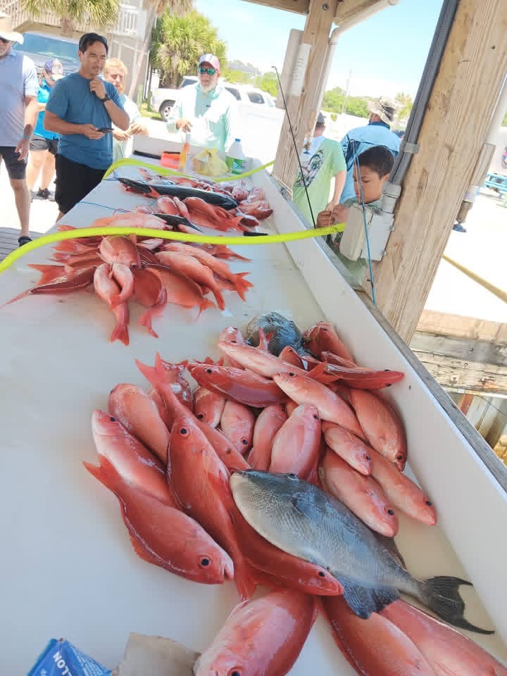Fishing in Destin