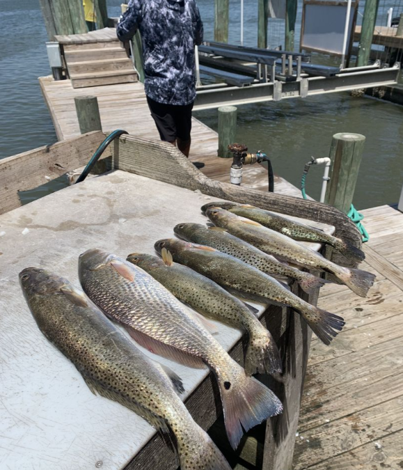Fishing in Destin