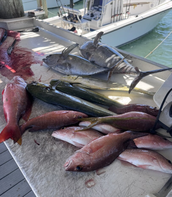 Fishing in Destin